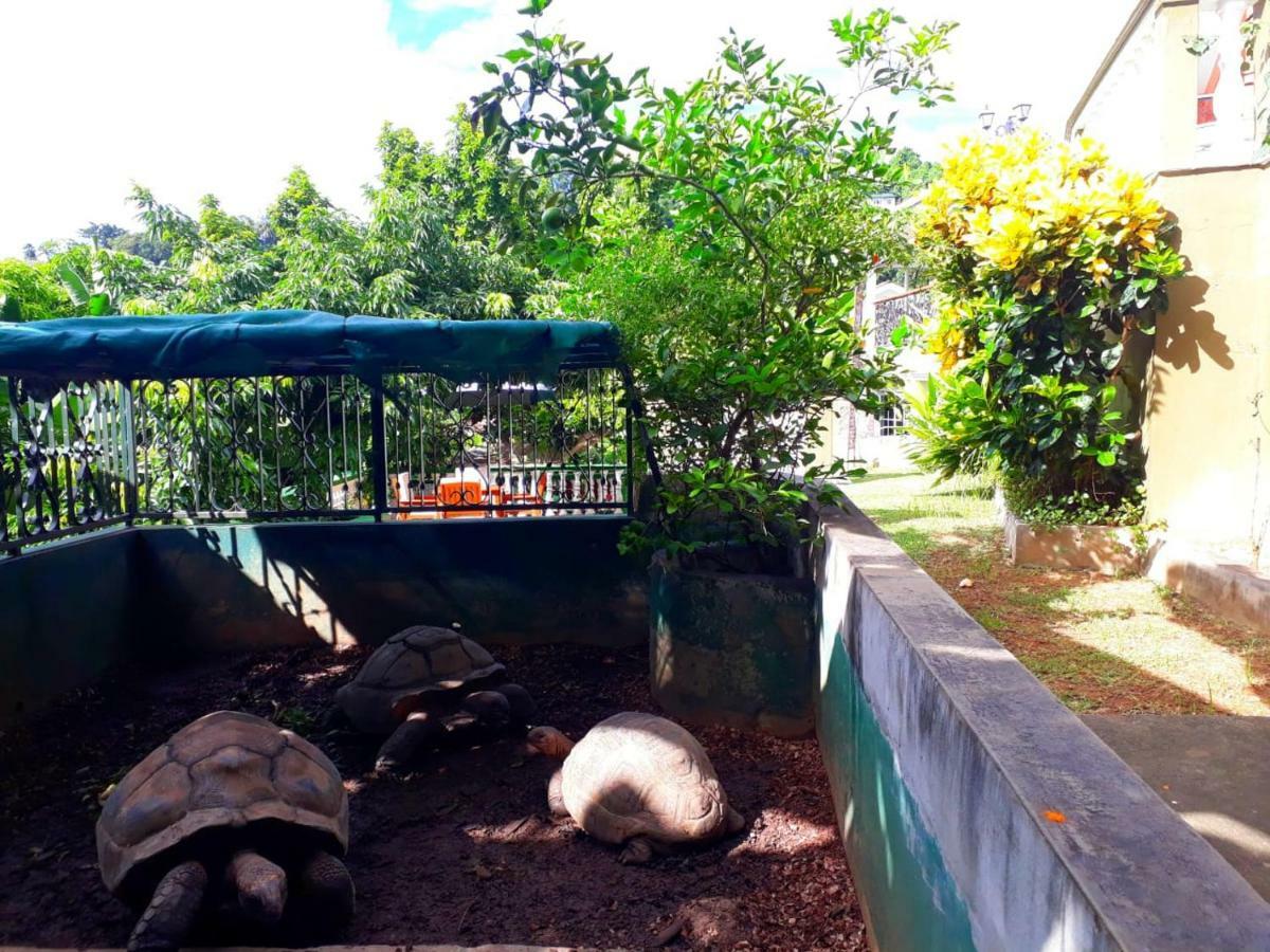 Ferienwohnung Hibiscus House Seychelles Self Catering Victoria Exterior foto